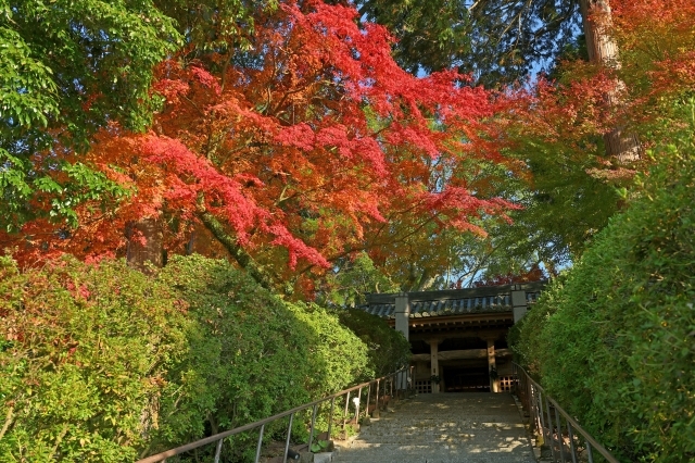 大興善寺の画像