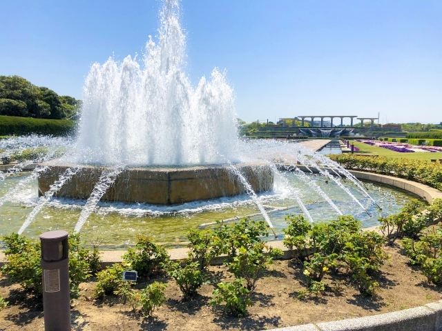 海の中道海浜公園の画像