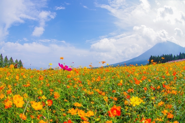 生駒高原の画像