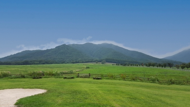 蒜山高原の画像