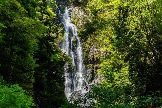 神庭の滝の画像