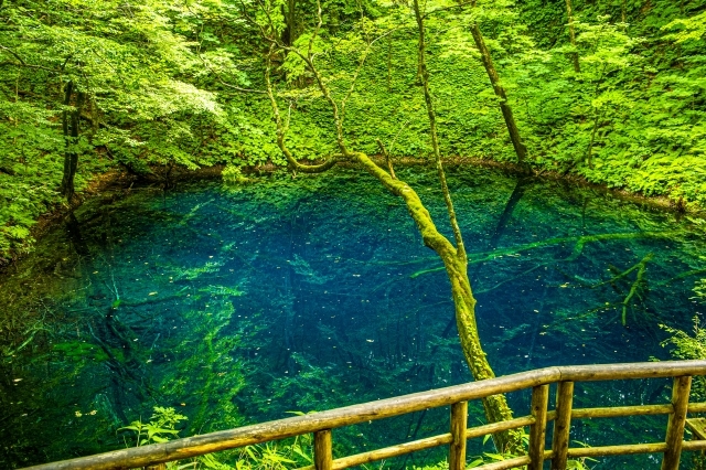 十二湖の画像