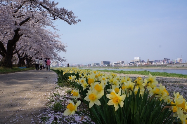 展勝地の画像