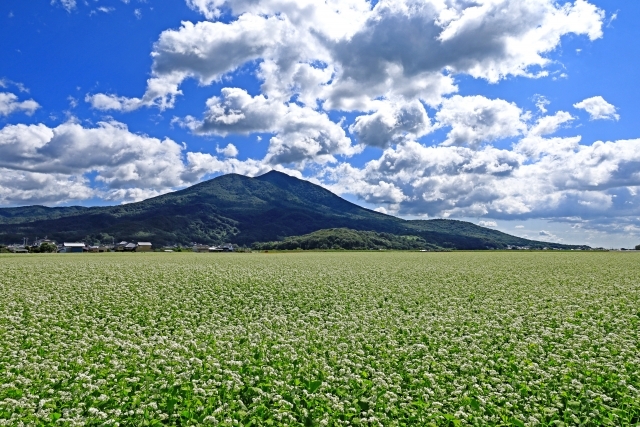 筑波山の画像