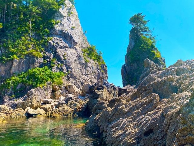笹川流れの画像