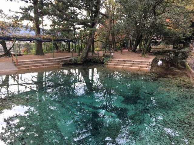 別府弁天池の画像
