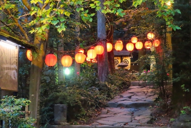 いろり山賊の画像