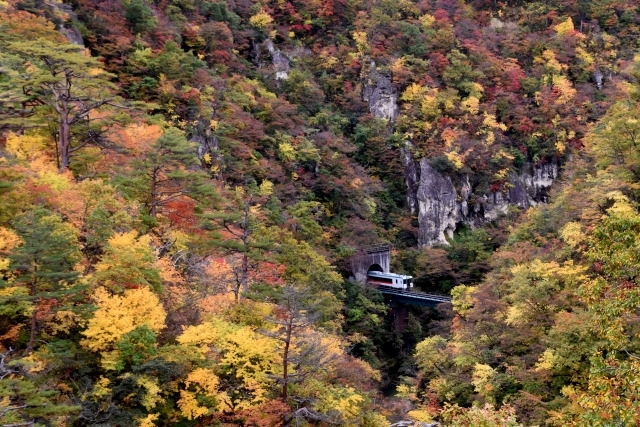 鳴子峡の画像