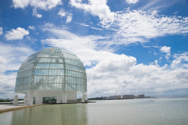 葛西臨海水族園の画像