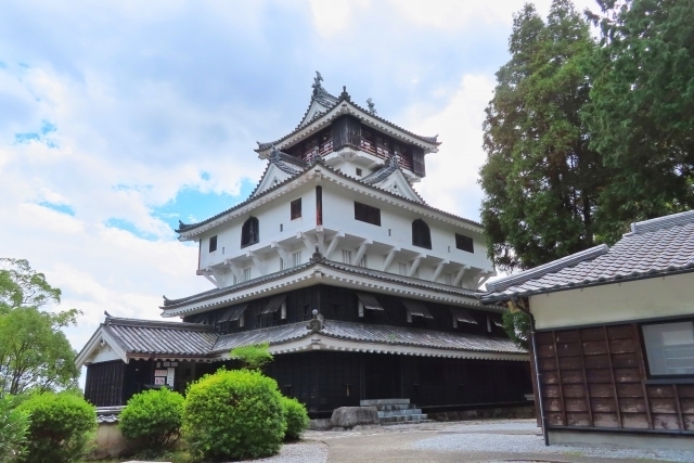 Iwakuni CastleImage