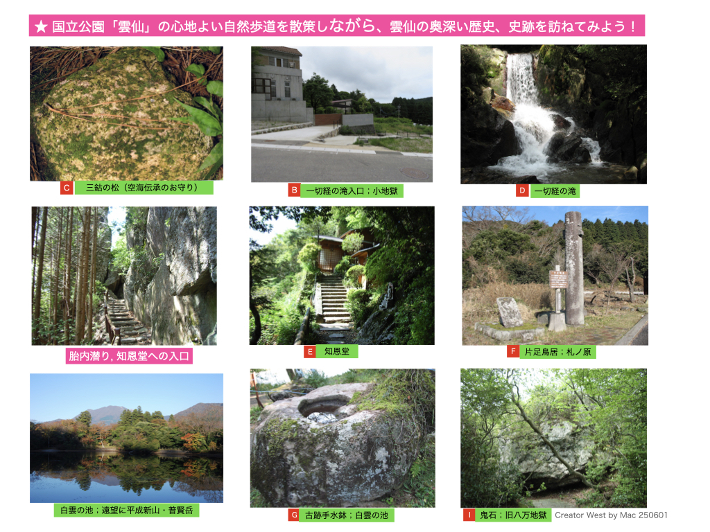 三鈷の松の画像