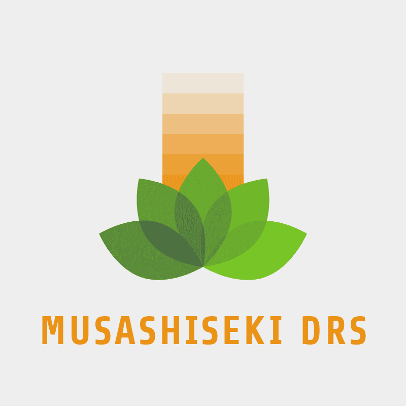 アイコン: MUSASHISEKI DRS