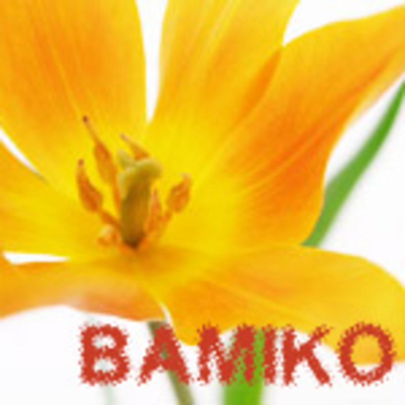 アイコン: BAMIKO