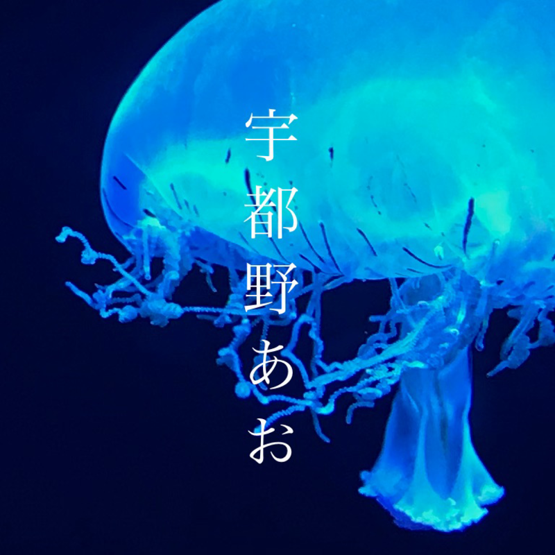 アイコン: 宇都野あお