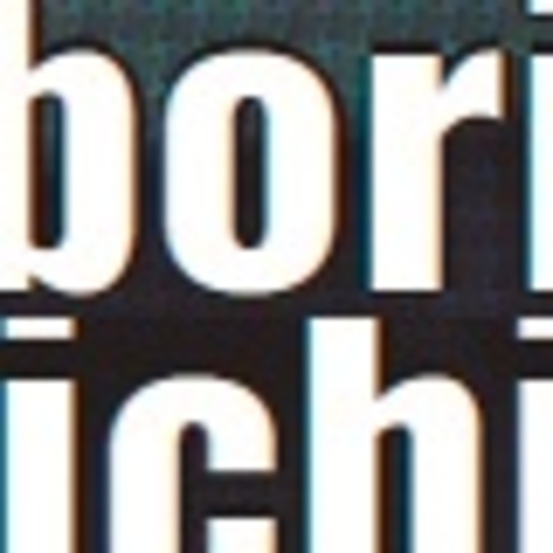 アイコン: bori-ichi