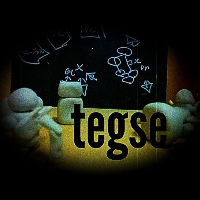 アイコン: tegse