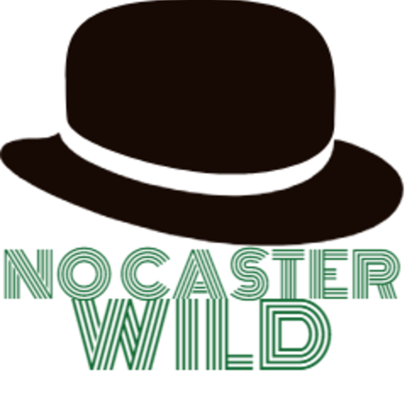 アイコン: NOCASTER WILD