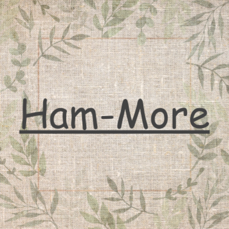 アイコン: Ham-More