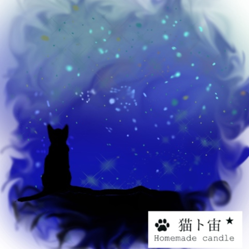 アイコン: 猫ト宙