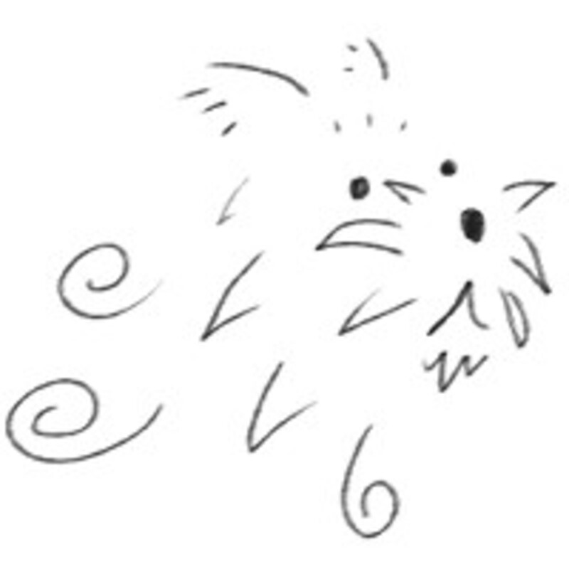 アイコン: Takenosuke