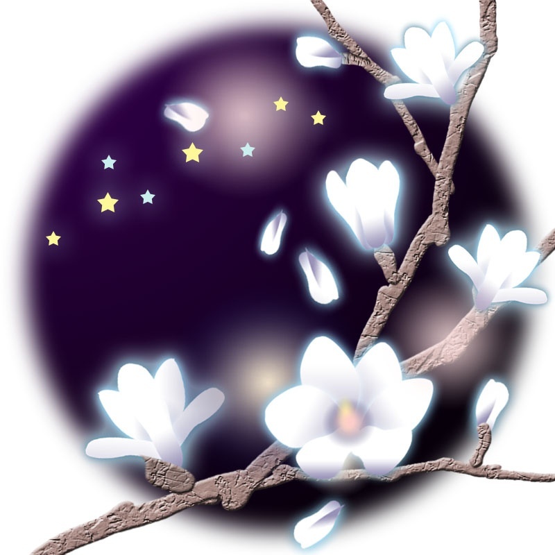 アイコン: MΛGNOLiA