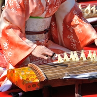 Kin (Zither)のイメージ