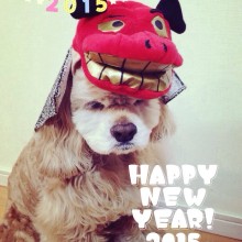 謹賀新年。