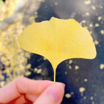 最近のいろいろ💛