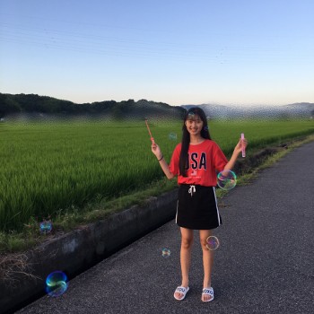 田んぼ🌱