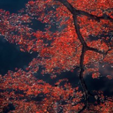 晩秋