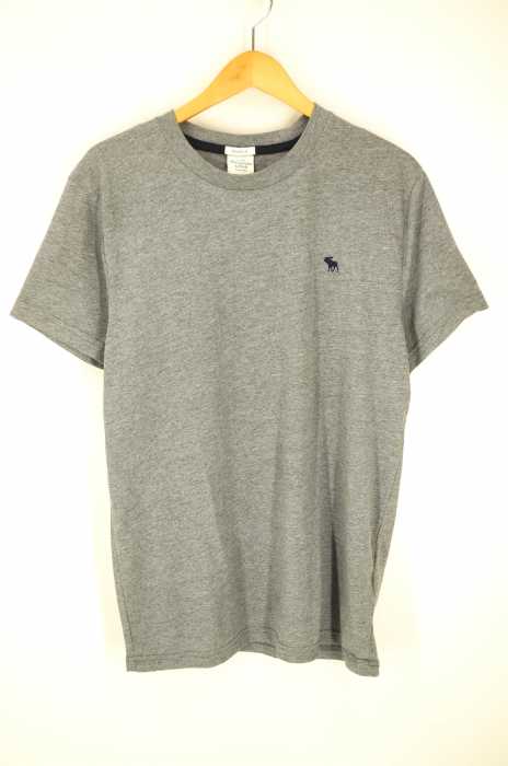 Abercrombie & Fitch (アバクロンビーアンドフィッチ) メンズ トップス