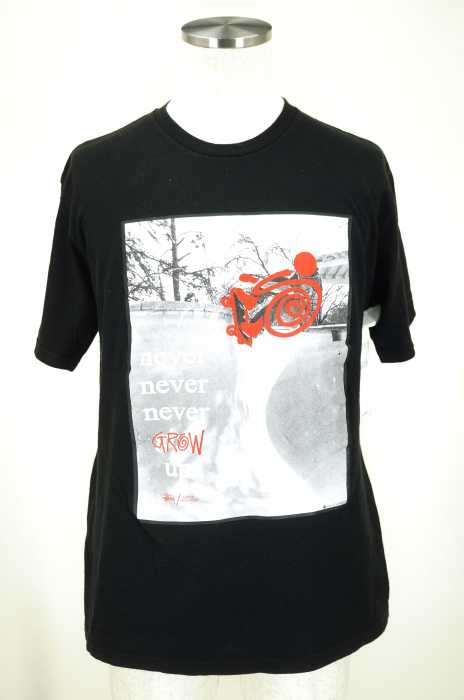 STUSSY (ステューシー) S/S プリントTシャツ メンズ トップス