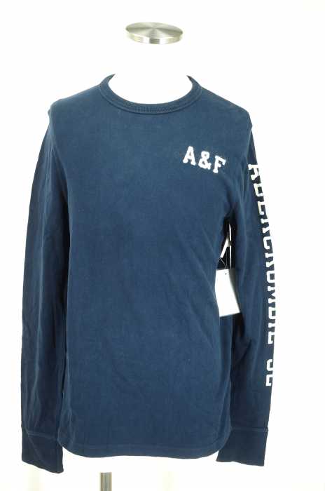 Abercrombie & Fitch (アバクロンビーアンドフィッチ) 袖フェルトワッペンカットソー メンズ トップス