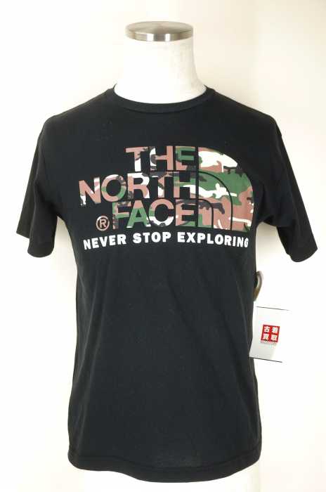 THE NORTH FACE （ザノースフェイス） プリントTシャツ メンズ トップス