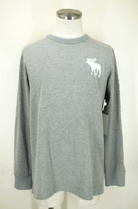 Abercrombie & Fitch （アバクロンビーアンドフィッチ） 袖ロゴトップス メンズ トップス