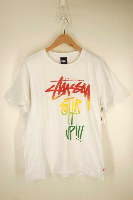 STUSSY (ステューシー) プリントTシャツ メンズ トップス