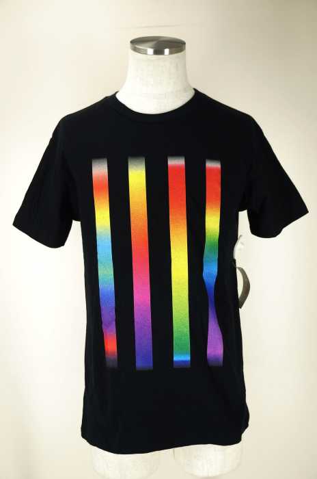 N.HOOLYWOOD （エヌハリウッド） サーモグラフィープリントTシャツ メンズ トップス