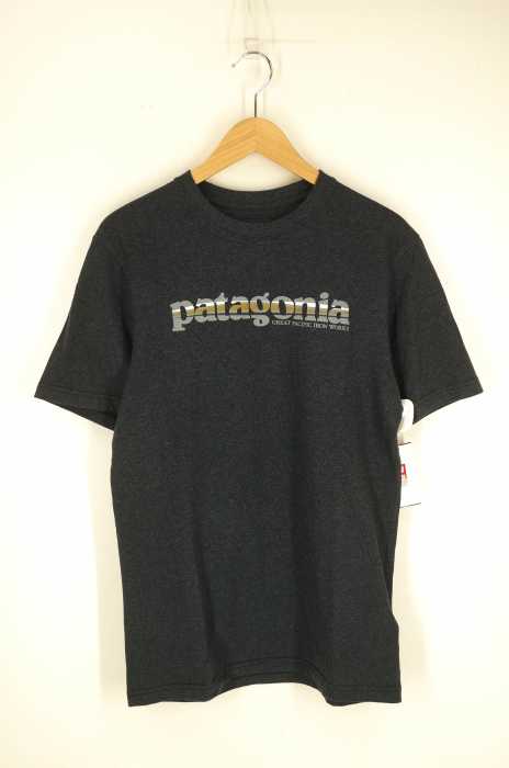 patagonia （パタゴニア） メンズ トップス