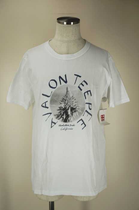 AVALON TEEPEE(アバロンティピ ) バナナフォトプリントTシャツ メンズ トップス