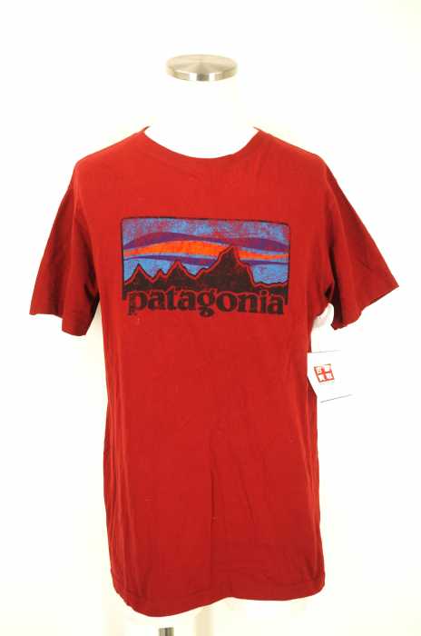 patagonia （パタゴニア） メンズ トップス