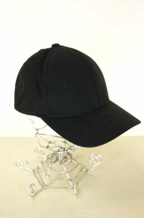 ARC'TERYX (アークテリクス) FLEXFIT メンズ 帽子