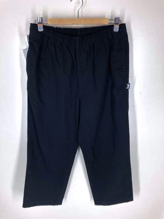 Stussy(ステューシー) Brushed Beach メンズ パンツ