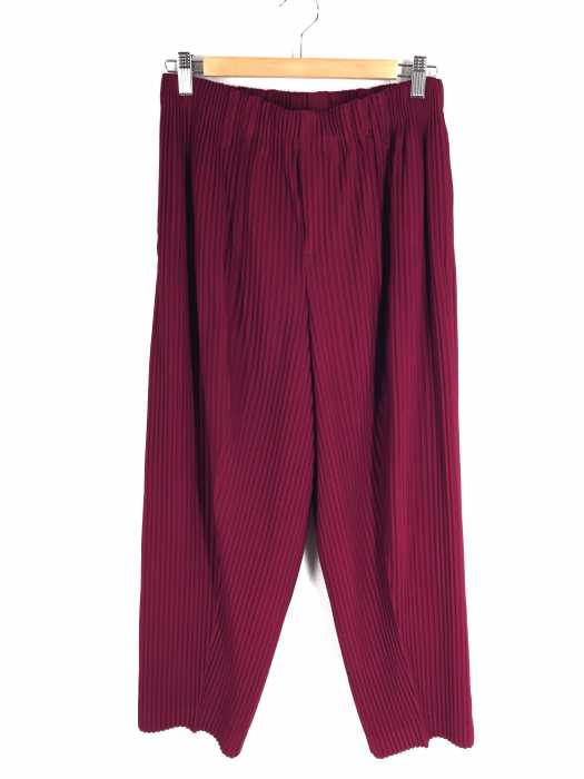 HOMME PLISSE ISSEY MIYAKE（オムプリッセ イッセイミヤケ） 19AW プリーツパンツ メンズ パンツ