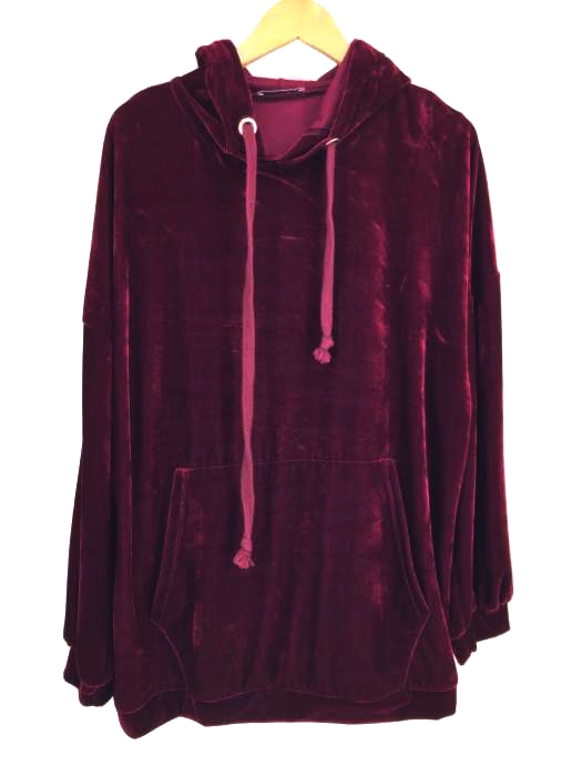 ZARA trafaluc（ザラトラファルック） ベロア プルオーバーパーカー レディース トップス