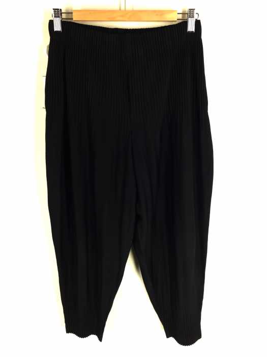 HOMME PLISSÉ ISSEY MIYAKE （オムプリッセ イッセイミヤケ） 19ss プリーツ バルーンパンツ サルエル メンズ パンツ