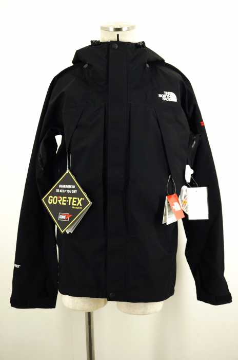 THE NORTH FACE （ザノースフェイス） GORE-TEX オールマウンテンジャケット メンズ アウター