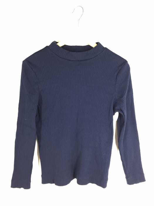 UNITED ARROWS green label relaxing (ユナイテッドアローズグリーンレーベルリラクシング) シャイニー ワイドテレコ ミドルネック カットソー レディース トップス