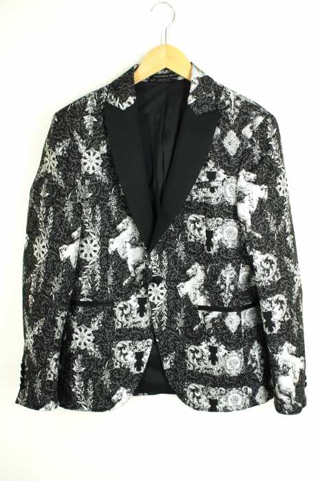 ZARA（ザラ） Suits Collection AW2018 メンズ アウター