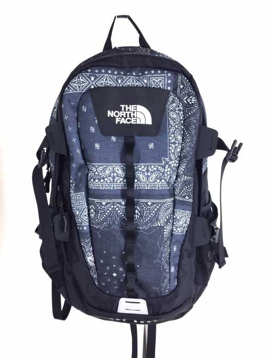 THE NORTH FACE (ザノースフェイス) 20SS Hot Shot CL バッグパック メンズ バッグ
