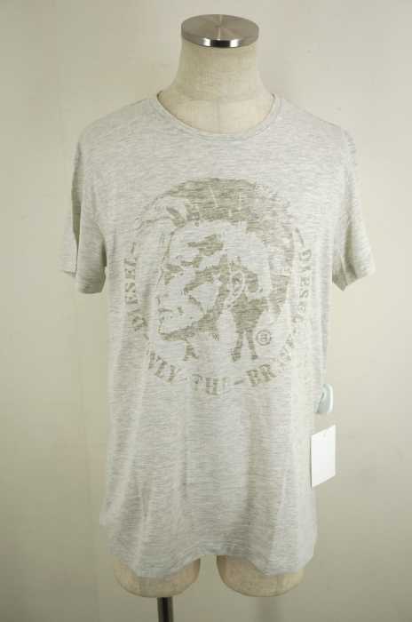DIESEL （ディーゼル） 毛玉デザインプリントTシャツ メンズ トップス